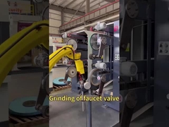 Robot polissant bouilloire et robinet